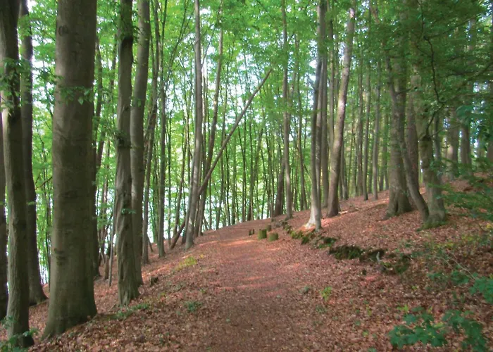 12 In Prázdninový dům *